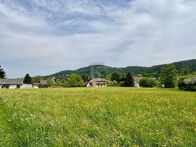 Grundstück kaufen in 9081 Reifnitz (Bild 4)