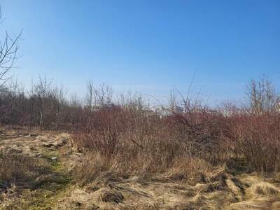 Grundstück kaufen in 4600 Wels