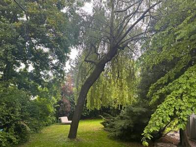 Haus mit Garten kaufen in 1230 Wien (Bild 3)