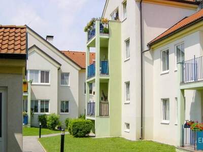 Wohnung mieten in 3680 Persenbeug