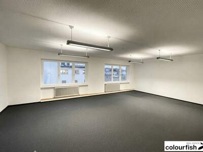 Gewerbeobjekt mieten in 1030 Wien (Bild 3)