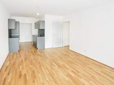 Terrassenwohnung mieten in 1220 Wien (Bild 1)