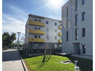 Terrassenwohnung mieten in 2700 Wr. Neustadt (Bild 5)