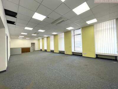 Gewerbeobjekt mieten in 1030 Wien (Bild 3)