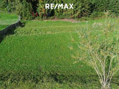 Grundstück kaufen in 4853 Steinbach (Bild 4)