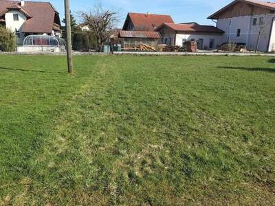 Grundstück kaufen in 5145 Neukirchen (Bild 2)