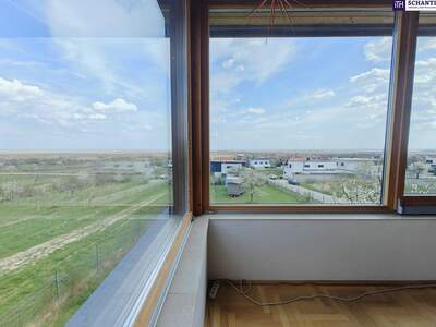 Haus mit Garten kaufen in 7072 Mörbisch (Bild 4)