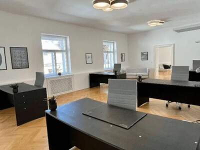 Gewerbeobjekt mieten in 1080 Wien (Bild 2)