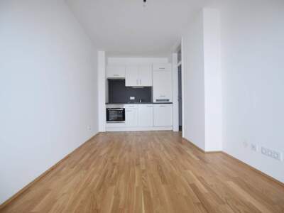 Wohnung mieten in 8055 Graz