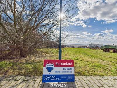 Grundstück kaufen in 7100 Neusiedl