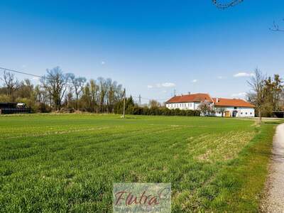 Grundstück kaufen in 4614 Marchtrenk