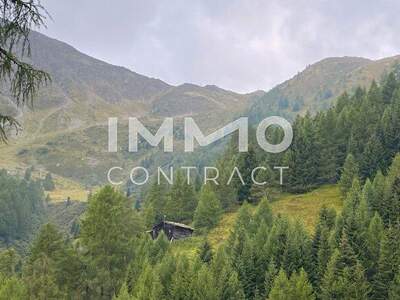 Gewerbeobjekt kaufen in 9981 Kals