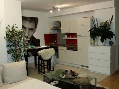 Terrassenwohnung mieten in 4600 Wels (Bild 4)