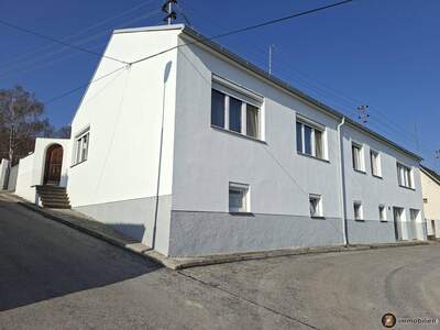 Haus kaufen in 7453 Steinberg