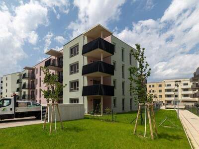 Terrassenwohnung kaufen in 2700 Wr. Neustadt (Bild 5)