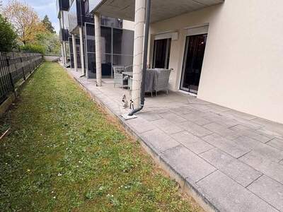 Wohnung provisionsfrei mieten in 8430 Kaindorf