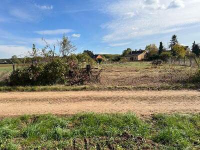 Grundstück kaufen in 2294 Marchegg (Bild 4)