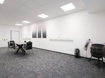 Gewerbeobjekt mieten in 4844 Regau (Bild 4)