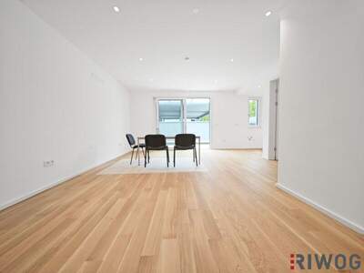 Mehrfamilienhaus kaufen in 2000 Stockerau (Bild 4)