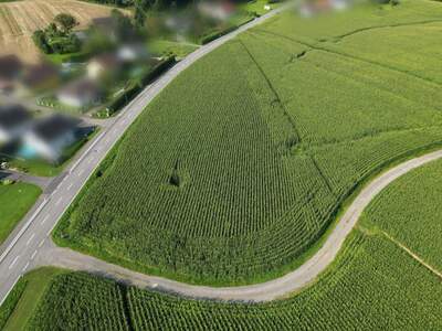 Gewerbeobjekt kaufen in 8421 Breitenfeld (Bild 5)