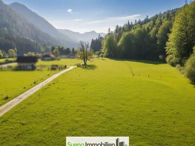 Grundstück kaufen in 4645 Grünau (Bild 3)