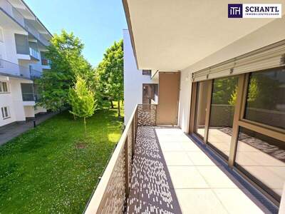 Terrassenwohnung mieten in 1230 Wien (Bild 2)