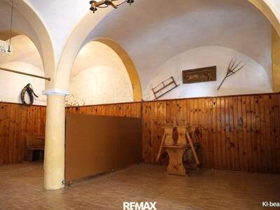 Gewerbeobjekt mieten in 2410 Hainburg (Bild 3)