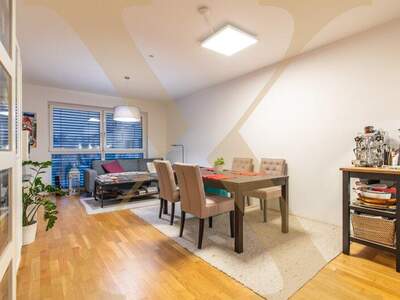 Terrassenwohnung mieten in 4020 Linz (Bild 1)