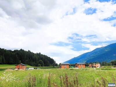 Grundstück kaufen in 9811 Lendorf (Bild 3)