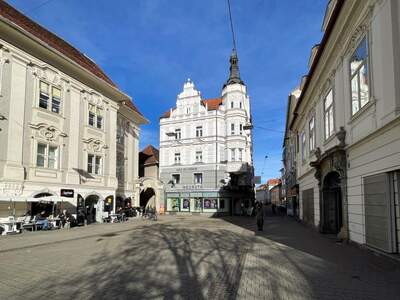 Gewerbeobjekt mieten in 8010 Graz (Bild 3)