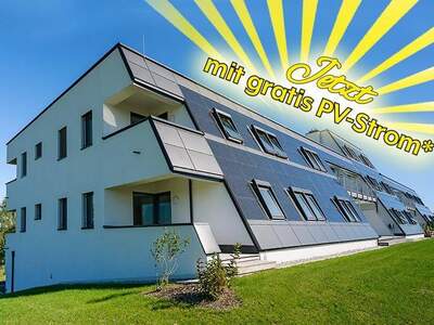 Wohnung mieten in 3385 Gerersdorf