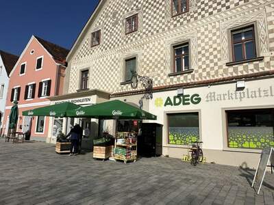 Gewerbeobjekt kaufen in 8130 Frohnleiten (Bild 1)