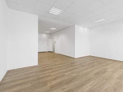 Gewerbeobjekt mieten in 2700 Wiener Neustadt (Bild 5)