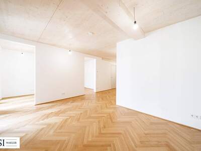 Anlageobjekt kaufen in 1020 Wien