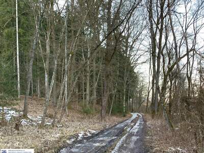 Grundstück kaufen in 8410 Weitendorf (Bild 5)