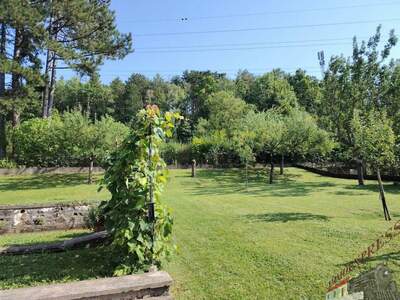 Haus kaufen in 2632 Grafenbach (Bild 3)