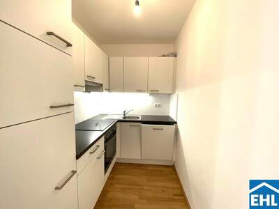 Terrassenwohnung mieten in 1090 Wien (Bild 3)