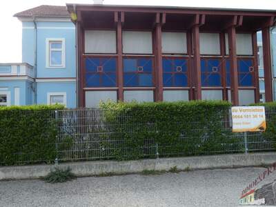 Wohnanlage mieten in 2604 Theresienfeld (Bild 1)