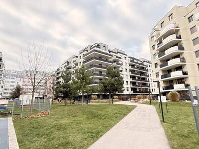 Terrassenwohnung provisionsfrei kaufen in 1220 Wien