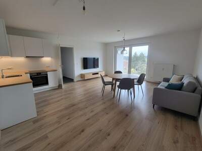 Wohnung mit Balkon mieten in 8324 Kirchberg (Bild 3)