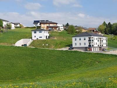 Einfamilienhaus kaufen in 4323 Münzbach (Bild 4)