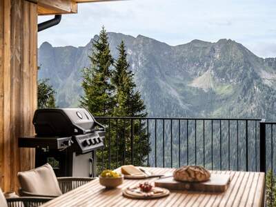 Haus kaufen in 8967 Haus (Bild 1)