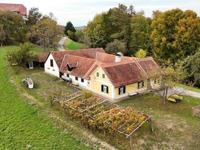 Haus kaufen in 8282 Loipersdorf