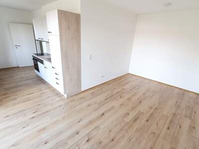 Terrassenwohnung mieten in 8461 Ehrenhausen (Bild 2)