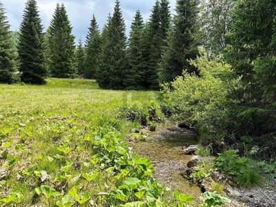 Grundstück kaufen in 9346 Glödnitz