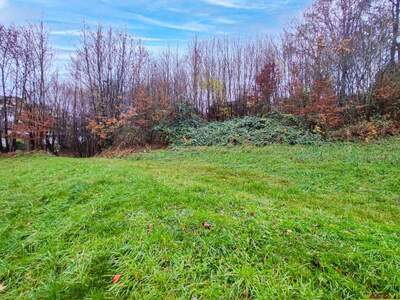 Grundstück kaufen in 4650 Lambach (Bild 4)