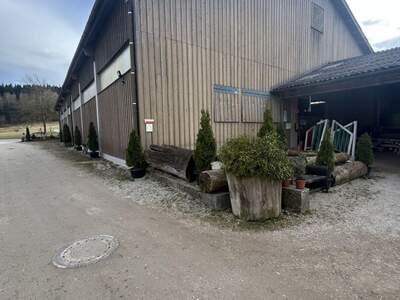 Immobilie mieten in 4843 Ampflwang (Bild 3)