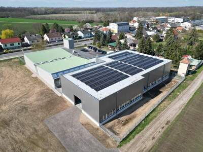 Gewerbeobjekt kaufen in 2293 Marchegg