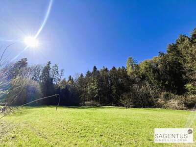 Grundstück kaufen in 6075 Tulfes