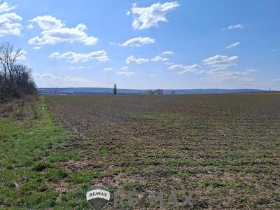 Grundstück kaufen in 2460 Bruck an der Leitha